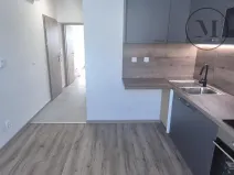 Pronájem bytu 1+1, České Budějovice, Novohradská, 33 m2