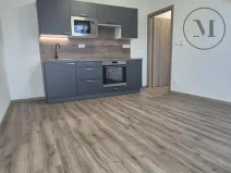 Pronájem bytu 2+kk, České Budějovice, Novohradská, 42 m2