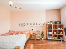 Prodej bytu 1+1, České Budějovice, Větrná, 38 m2