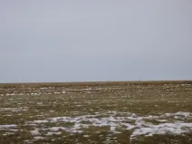 Dražba pole, Nová Sídla, 66956 m2