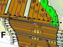 Dražba lesa, Hradčany-Kobeřice, 1895 m2