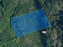 Dražba lesa, Benešov u Semil, 2540 m2