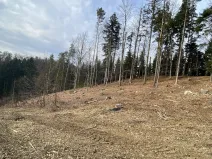 Prodej lesa, Zborov, 9290 m2