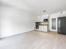 Pronájem bytu 1+kk, Praha - Vysočany, Gerstelova, 35 m2