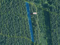 Dražba lesa, Hosty, 1258 m2