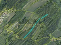 Prodej lesa, Pozlovice, 9893 m2