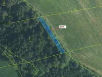 Dražba lesa, Písečná, 447 m2