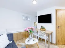 Pronájem bytu 1+kk, Zlín, Vejvanovská, 20 m2