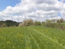 Prodej pozemku, Vítkov, 5357 m2