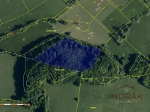 Prodej lesa, Nový Jičín, Na Samotě, 13092 m2