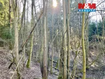 Prodej lesa, Dolní Dobrouč - Lanšperk, 4113 m2
