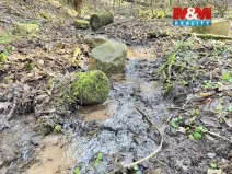 Prodej lesa, Dolní Dobrouč - Lanšperk, 4113 m2