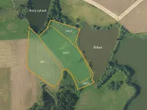 Prodej podílu pole, Borovná, 60983 m2