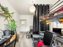 Prodej bytu 2+kk, Praha - Žižkov, Hartigova, 51 m2