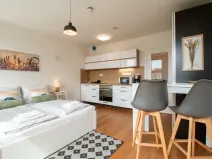 Pronájem bytu 1+kk, Praha - Vinohrady, Perucká, 25 m2