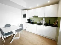 Prodej bytu 1+kk, Praha - Dejvice, Lindleyova, 34 m2