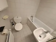 Pronájem bytu 1+kk, Hradec Králové, Buzulucká, 30 m2