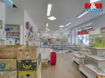 Pronájem obchodního prostoru, Plzeň - Vnitřní Město, Bedřicha Smetany, 304 m2