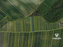 Prodej pole, Hodějice, 1212 m2