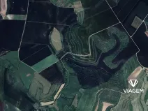 Prodej pole, Uherčice, 542 m2