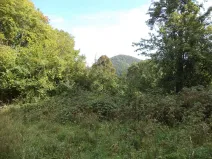 Prodej pole, Malé Březno, 14517 m2