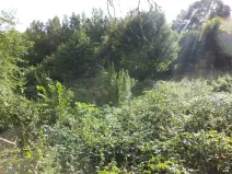 Dražba louky, Malé Březno, 14517 m2