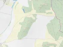 Prodej lesa, Čepřovice, 1644 m2