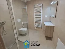 Pronájem bytu 2+kk, Brno, Burianovo náměstí, 43 m2