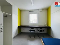 Prodej, Planá, 300 m2