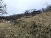 Prodej zahrady, Žalhostice, 4185 m2