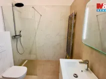 Pronájem bytu 2+kk, Opava - Předměstí, Riegrova, 56 m2