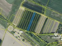 Prodej pole, Děčany, 458 m2