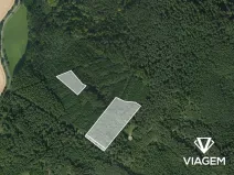 Prodej lesa, Březina, 18560 m2