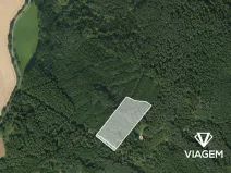 Prodej lesa, Březina, 18560 m2