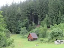 Dražba louky, Velké Karlovice, 24946 m2