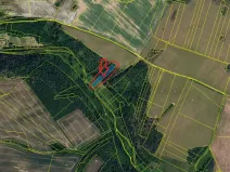 Prodej podílu lesa, Boskovštejn, 1959 m2