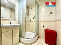 Pronájem bytu 2+1, Most, U Věžových domů, 61 m2