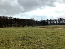 Prodej pole, Dolní Město, 124655 m2