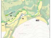 Prodej lesa, Pošná, 3636 m2