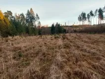 Prodej lesa, Pošná, 12283 m2