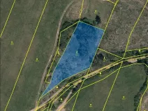Prodej lesa, Číchov, 3220 m2