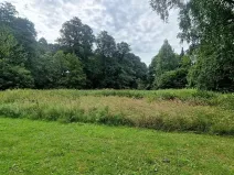 Prodej zahrady, Ostrava, Radvanická, 7795 m2