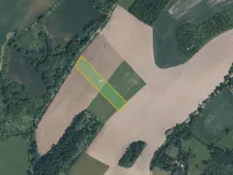 Prodej pole, Kout na Šumavě, 31661 m2