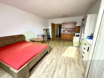 Pronájem bytu 1+kk, Ostrata, 39 m2