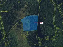 Dražba lesa, Lhota Rapotina, 1938 m2