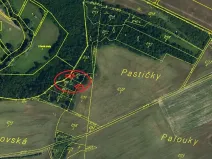 Prodej lesa, Plaveč, 1640 m2