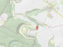 Prodej lesa, Plaveč, 1640 m2