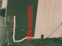 Prodej pole, Březová, 21952 m2