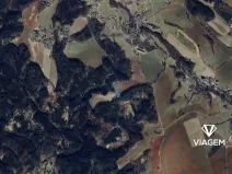 Prodej pole, Úbislavice, 3819 m2