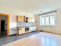 Pronájem bytu 2+kk, Brno, Havlišova, 55 m2